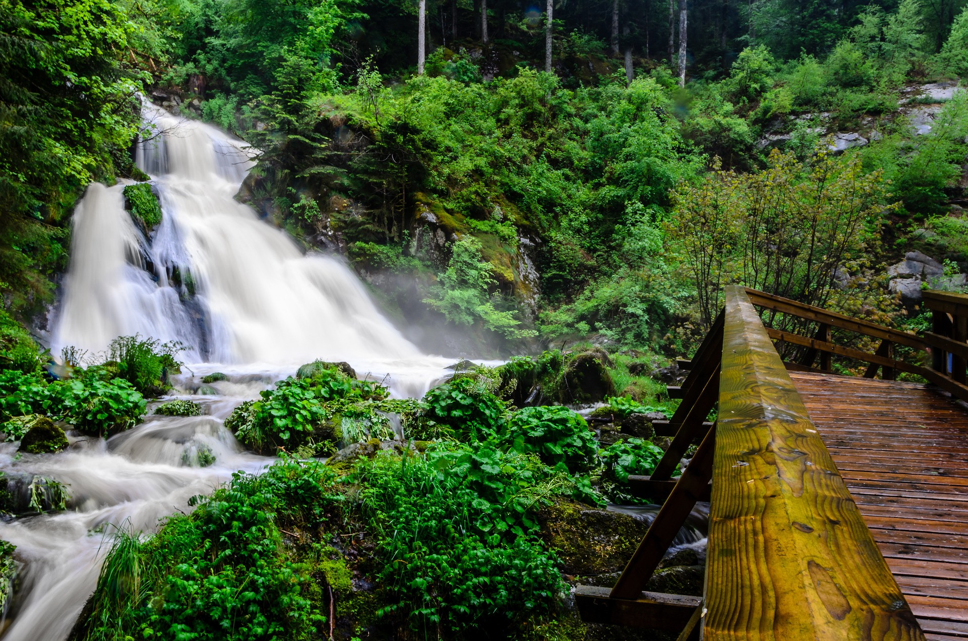 Baden-Baden: Aguas Termales Y Ambiente Elegante En La Selva Negra