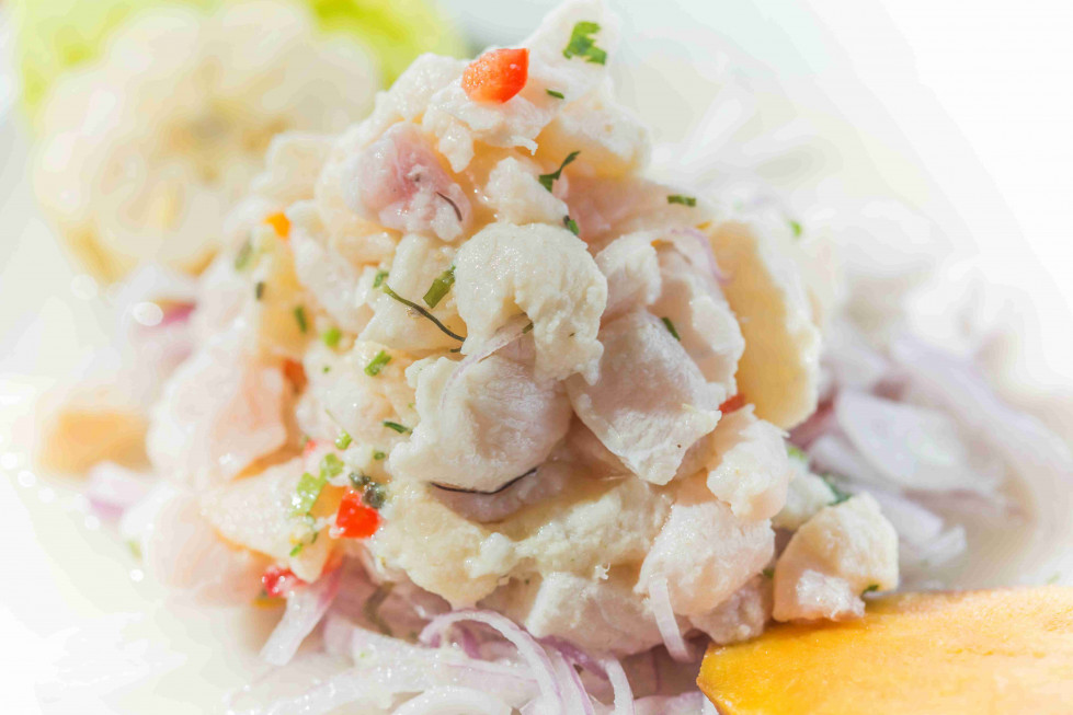 Ceviche peruano (1) baja