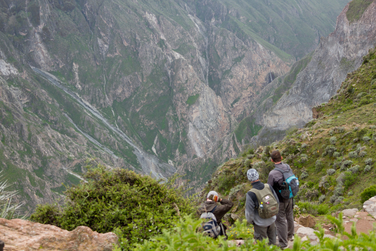 Colca