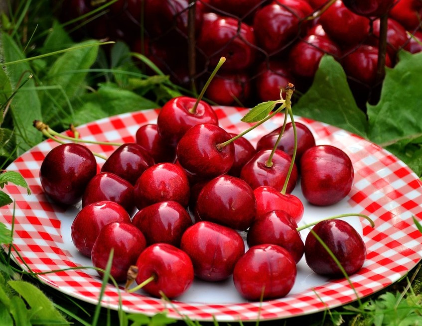 Cherries 1503977 1280