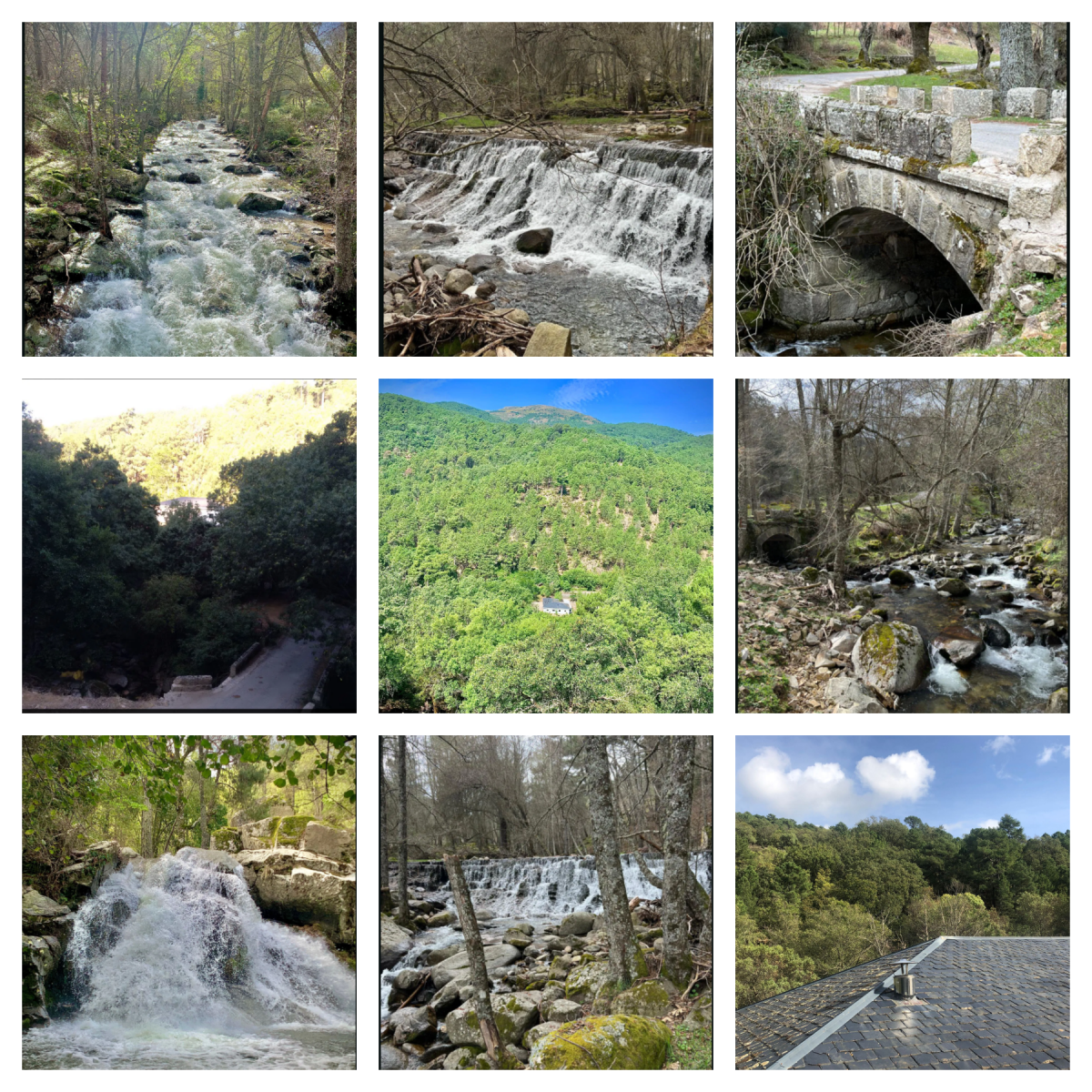 El Valle de Iruelas y los Tres Anillos Verdes 4