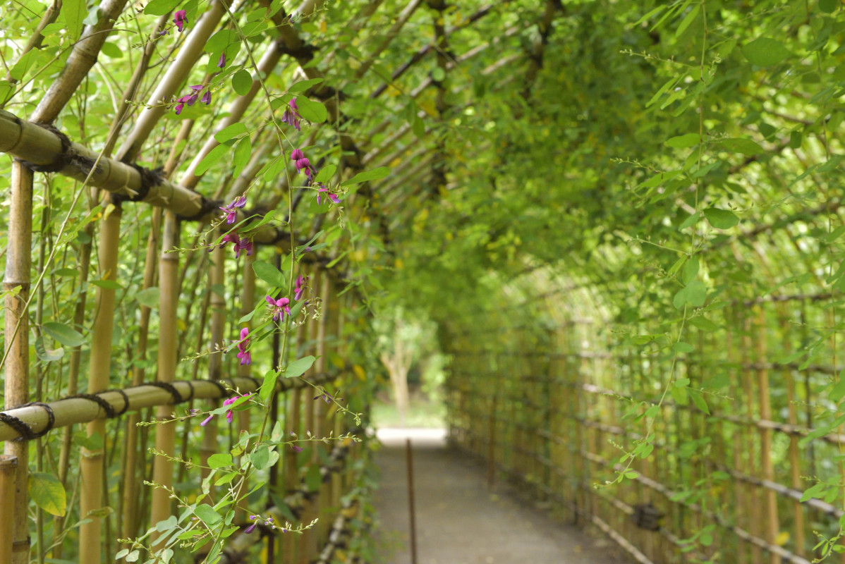 Mukojima Hyakkaen Gardens