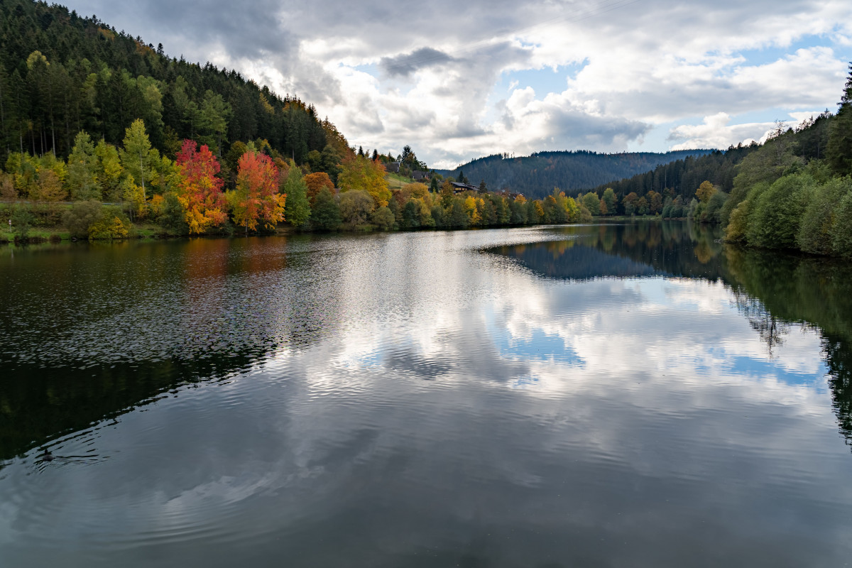 Parque Nacional de la Selva Negra (Alemania) 3