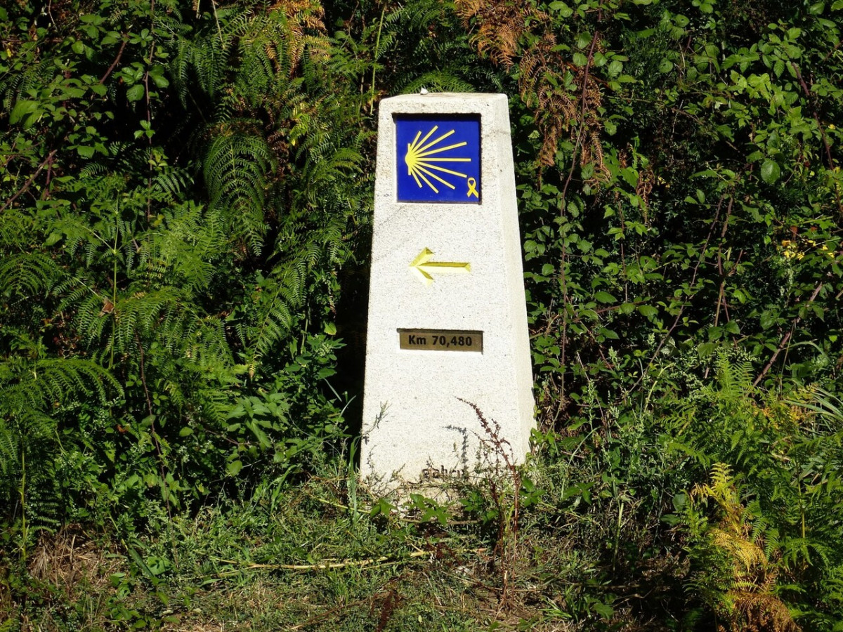 Camino santiago organizado