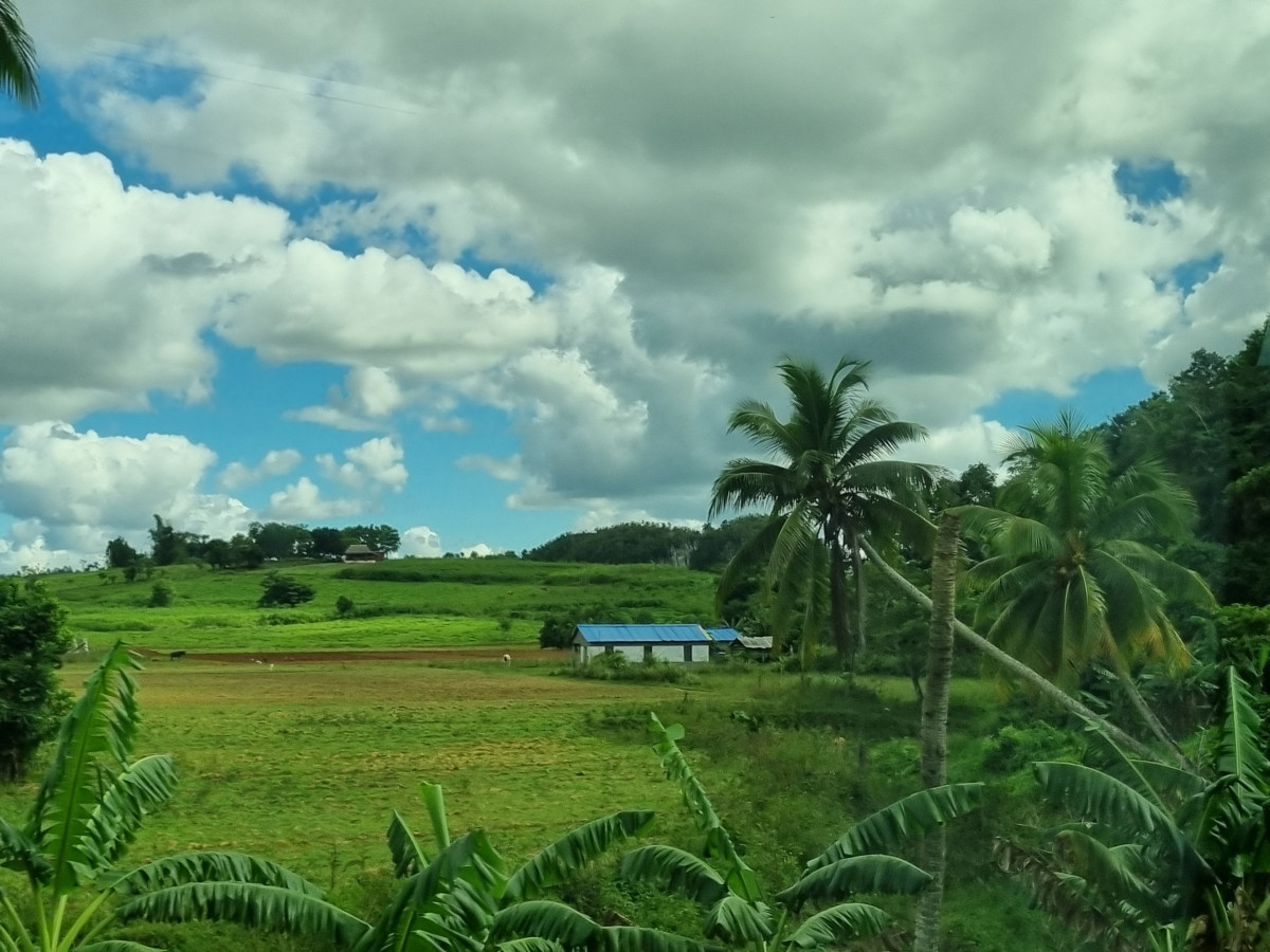 1. VIÑALES