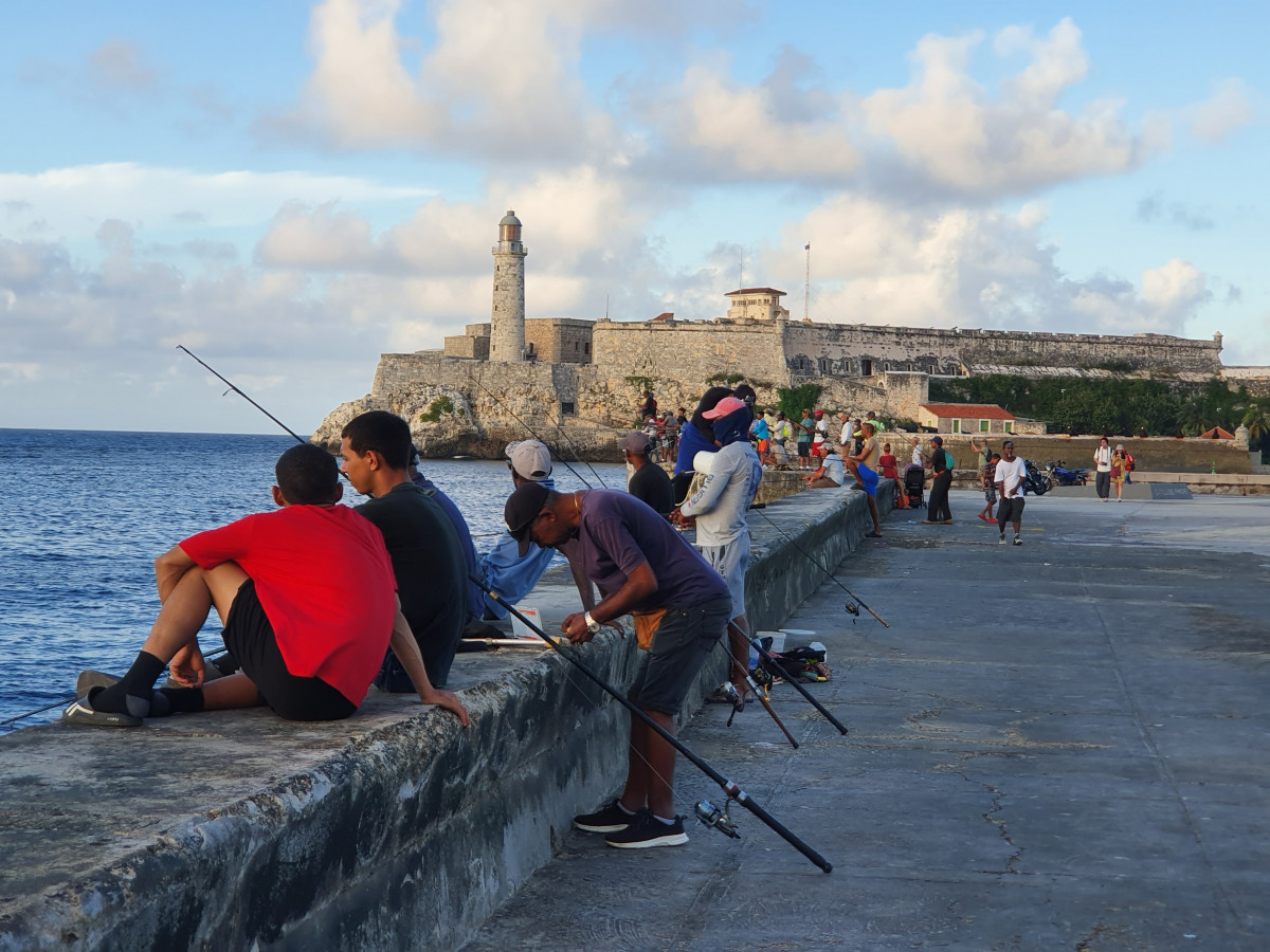 12. ANIMADO MALECON