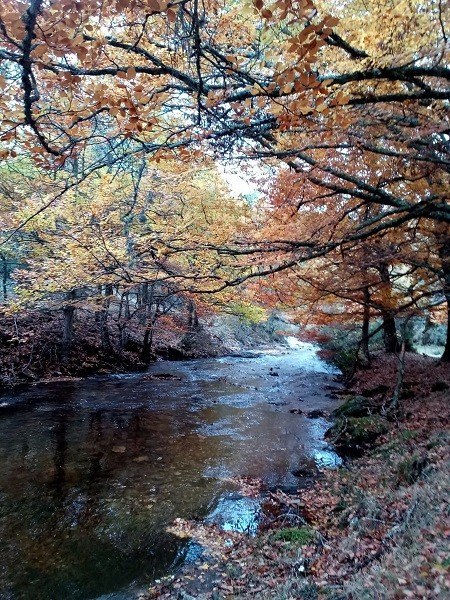 MOntejo de la Sierra